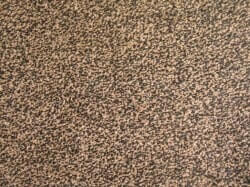שטיחים מקיר לקיר - מוסטנג חום